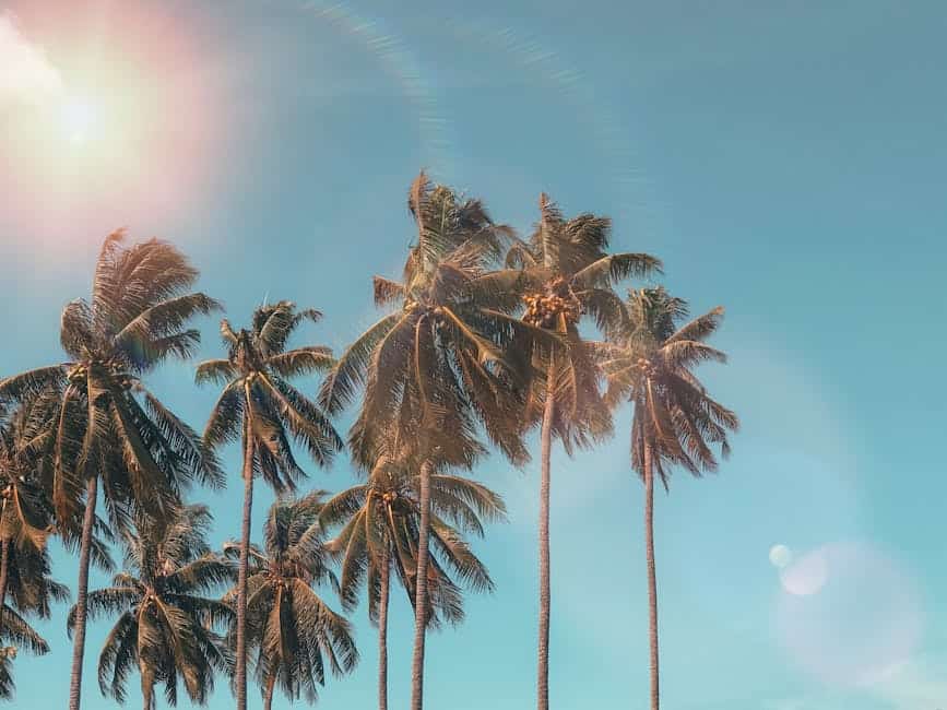 夏季炎熱