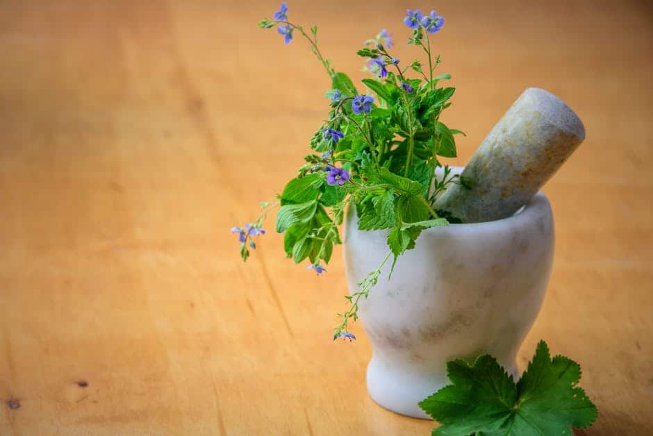 藥膳相關圖片
