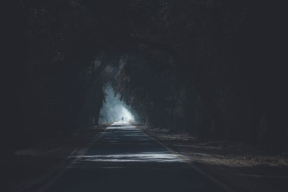 artery