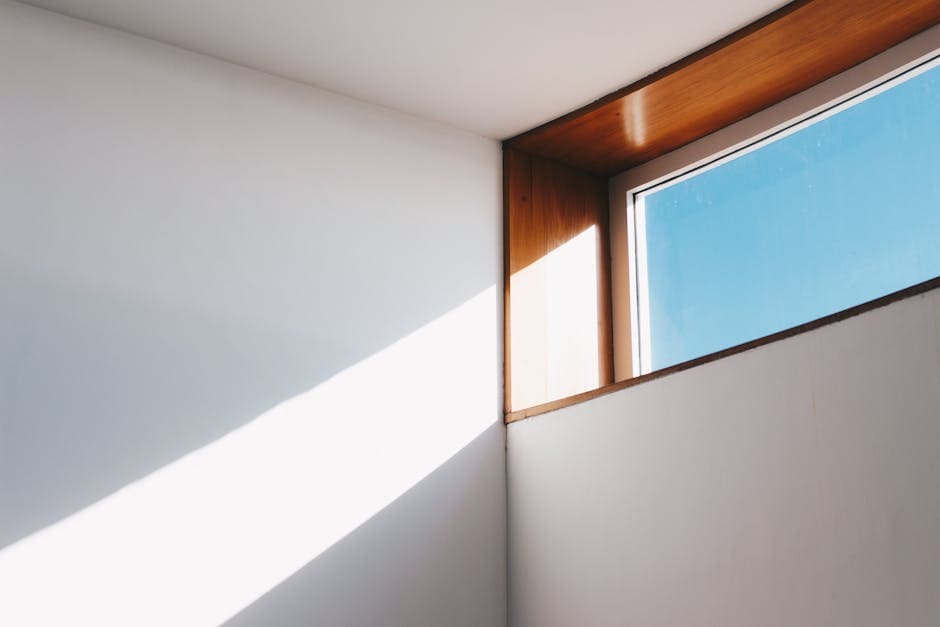 Window Image